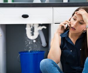 About Emergency plumbing pros Lake Panasoffkee, FL